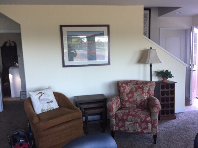Living room - 9903 Old Camp Ln