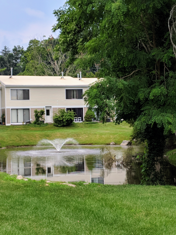 Primary Photo - 46 Olcott Way