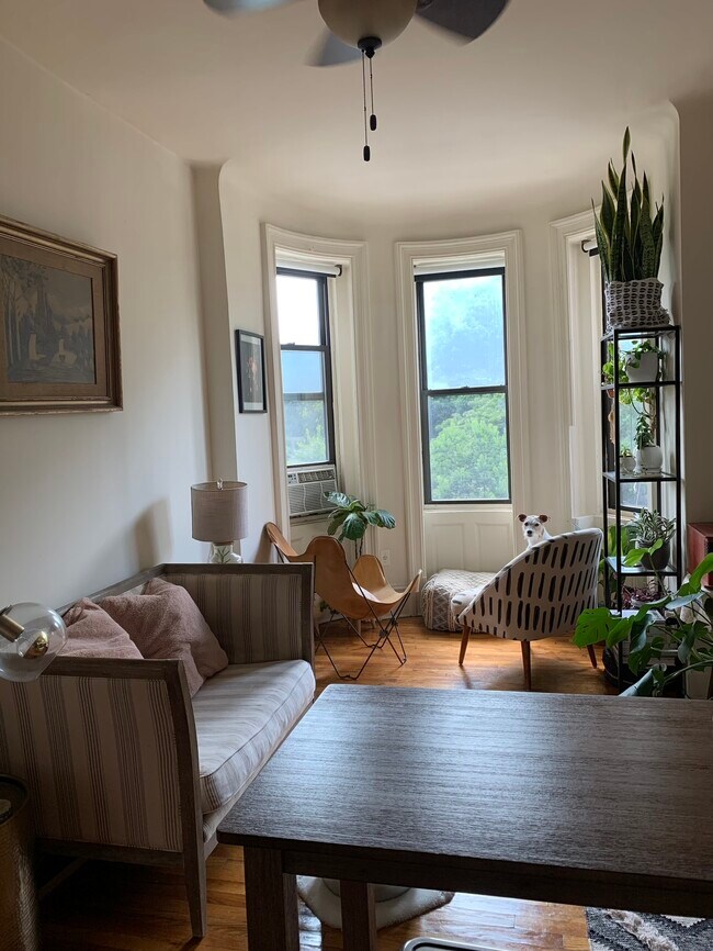 Living room - 99 Prospect Park W