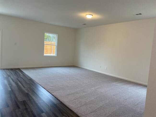 Building Photo - 2704 Cinnamon Springs St