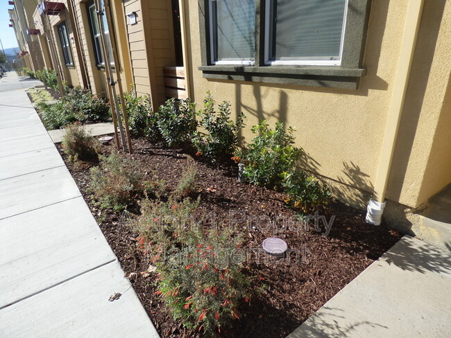 Foto del edificio - 5638 Campbell Ln