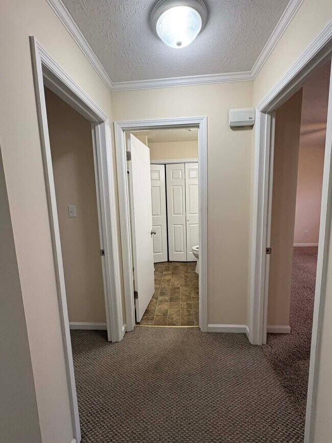 Foto del edificio - 2119 Rock Creek Dr