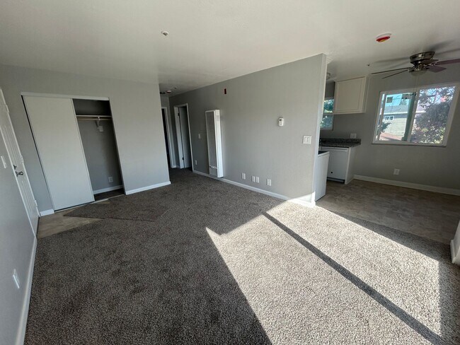 Building Photo - Newly Remodeled Sunny 2Bed/2Bath Apartment...