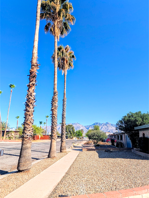 Foto del edificio - 1810 N Heatherbrae Ave