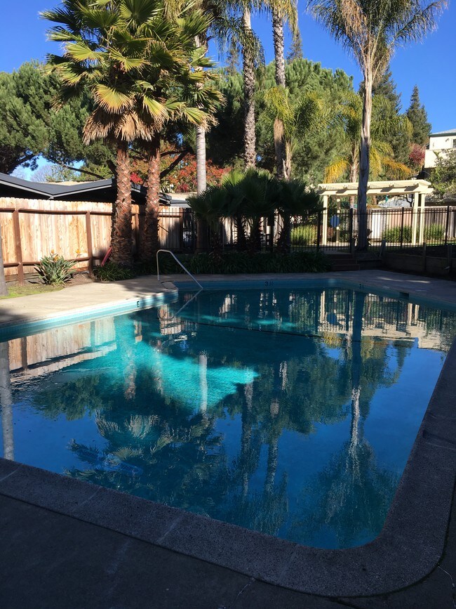 Summit Apartments Rentals Hayward, CA