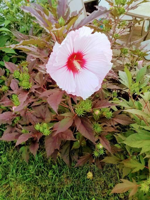 Building Photo - 270 Bates St.