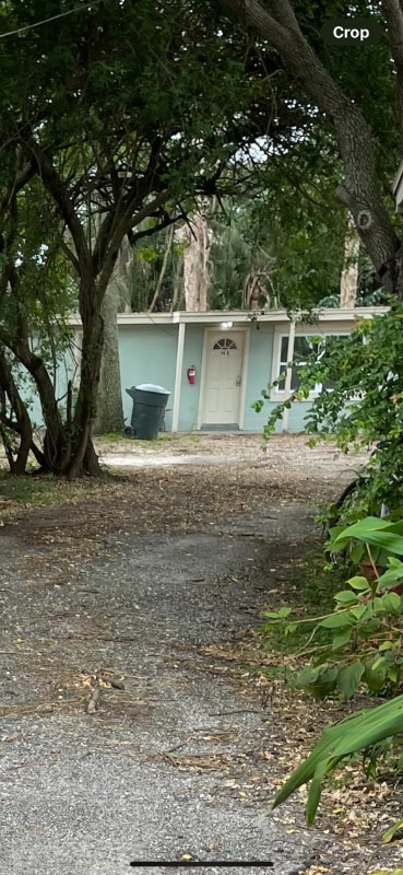 Photo - 40 Douglas Ave (Dunedin, FL)
