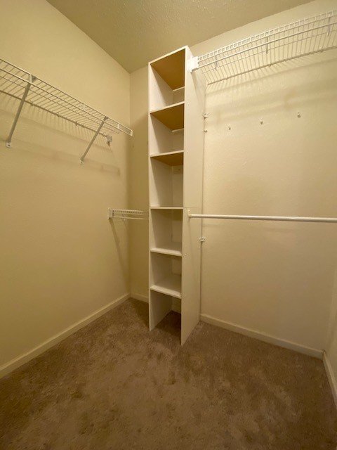 Foto del edificio - 3729 Laurel Cherry Ln