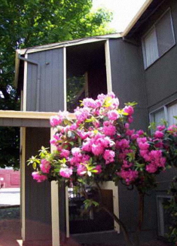 Foto del edificio - Timber Terrace Apartments