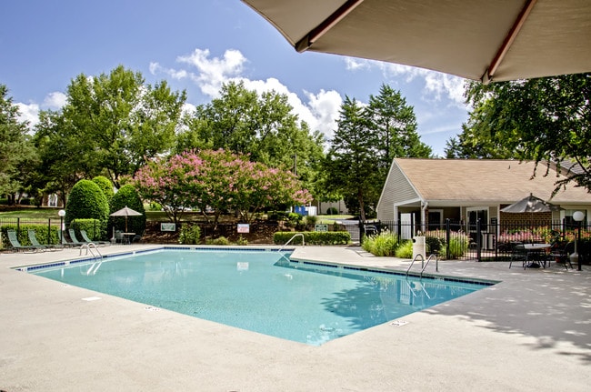 Swimming Pool - Vetra Quail Hollow
