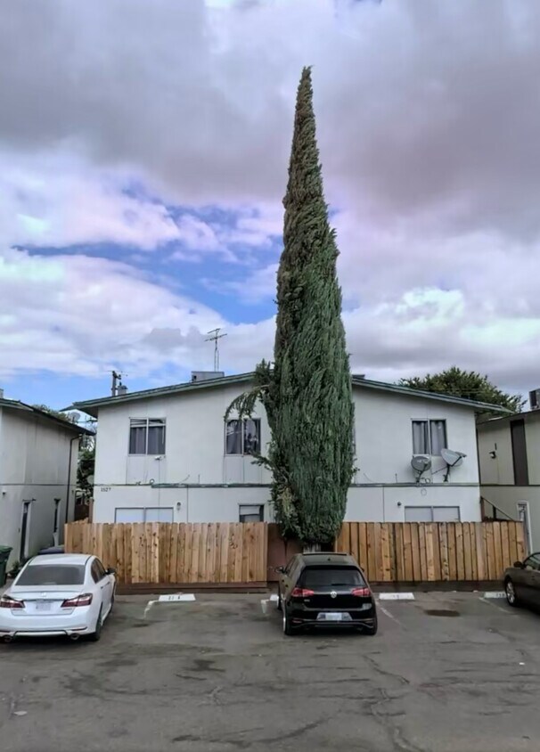 Foto principal - 1527 South Ave