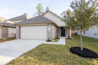 Building Photo - 3516 Cub Dr