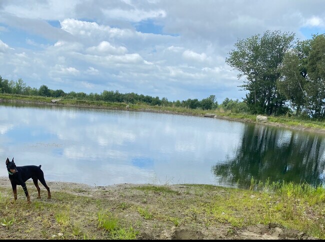 pond in the summer - 2570 N Palermo Rd