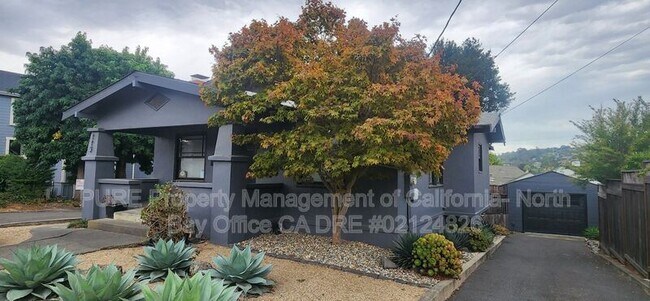 Building Photo - 115 Bodega Ave