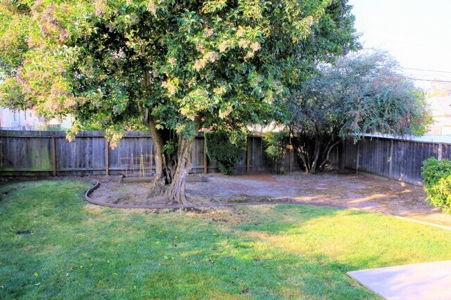 Foto del edificio - Charming 2 Bed/1 Bath House with Yard and ...