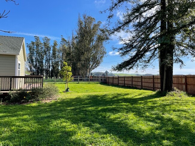 Front yard - 490 Fallon Rd