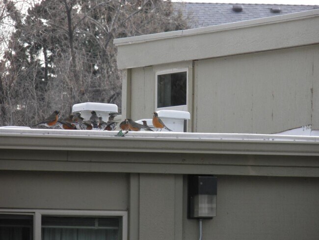 Foto del edificio - 1700 NE WELLS ACRES ROAD #26, BEND, OREGON...