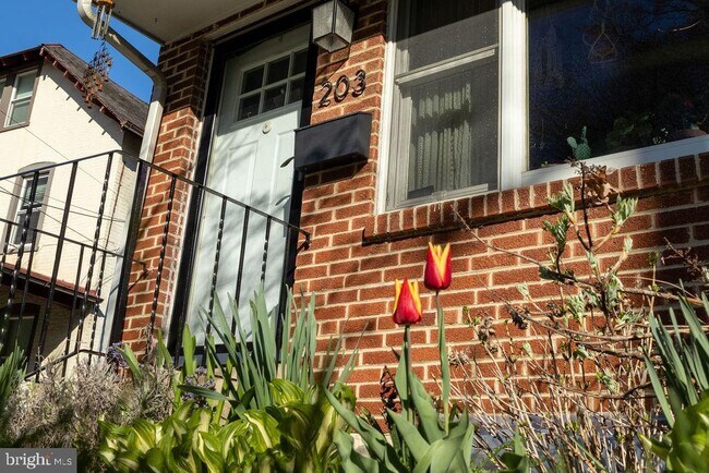 Foto del edificio - 203 E Rosedale Ave