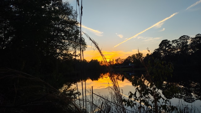 Building Photo - 849 Prosperity Dr