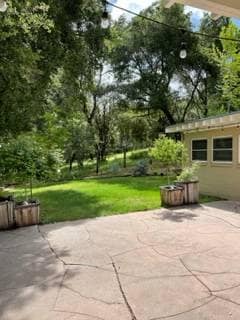 Building Photo - 1449 Portola Rd