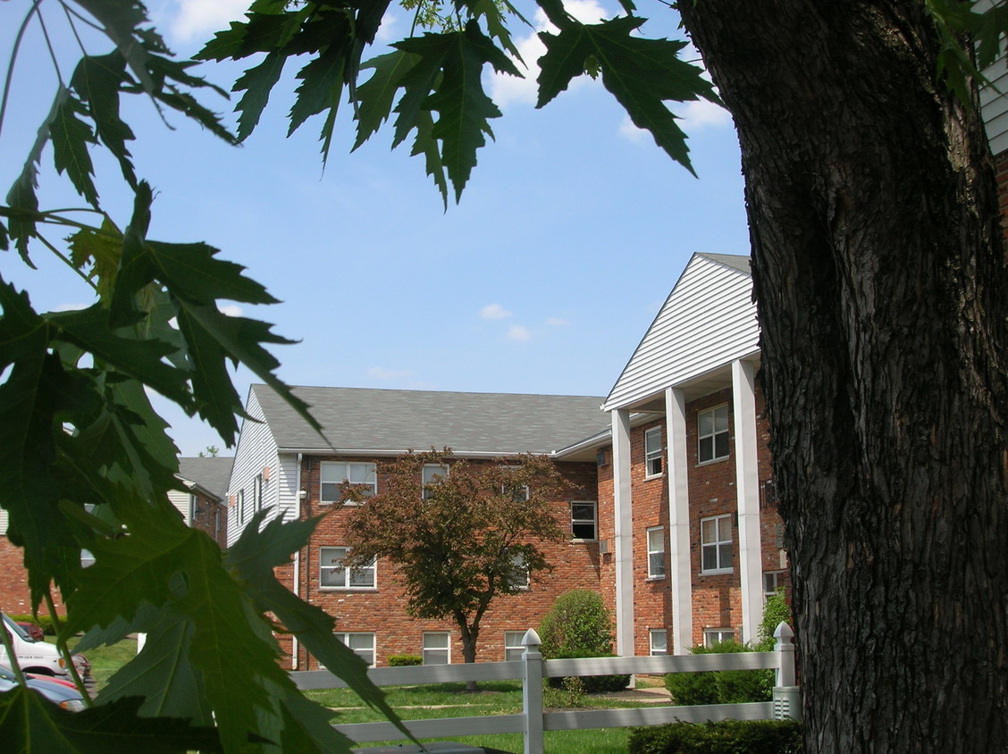 Primary Photo - Magnolia Pointe Apartments