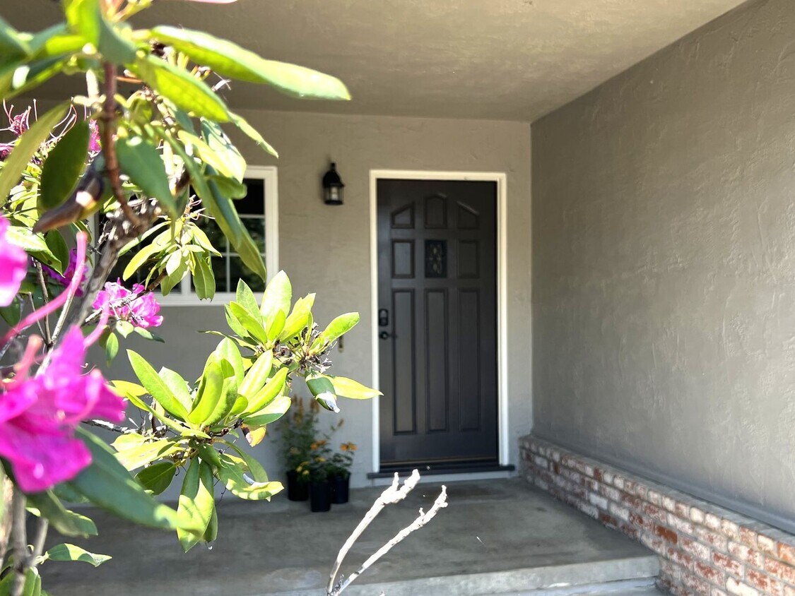 Primary Photo - Terra Linda Home
