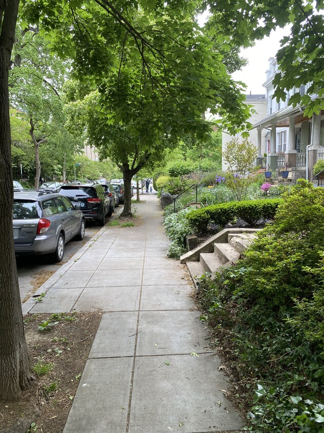 Primary Photo - 2438 20th St NW