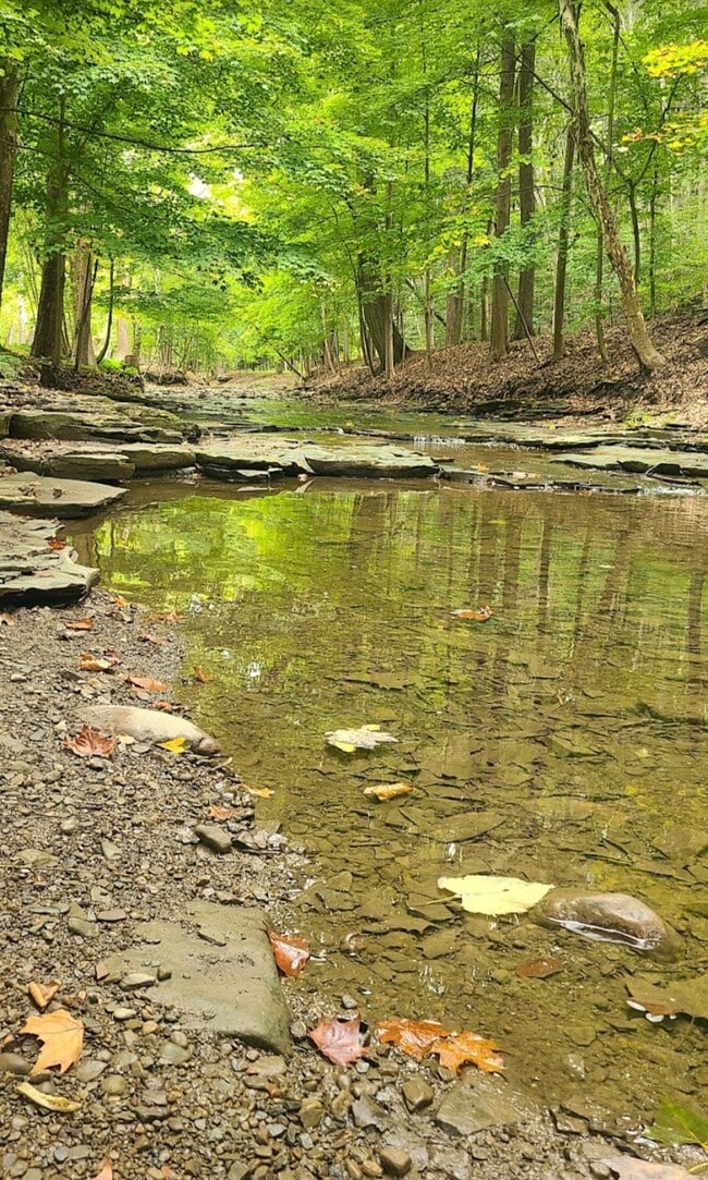 Liberty Park Apartments Apartments in Girard, OH
