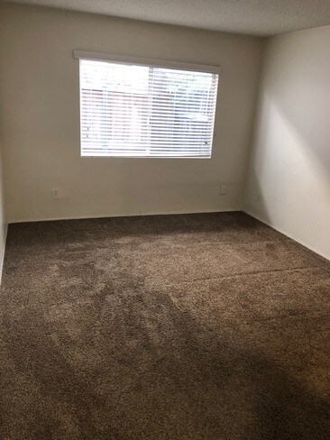 1st Ave Apartments photo'
