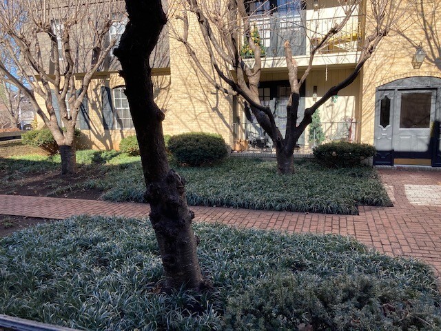 Foto del edificio - 2426 Richelieu Ave SW