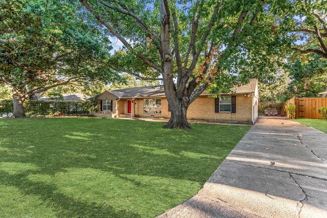 Building Photo - Beautifully Updated 3/2 Ranch-Style House ...