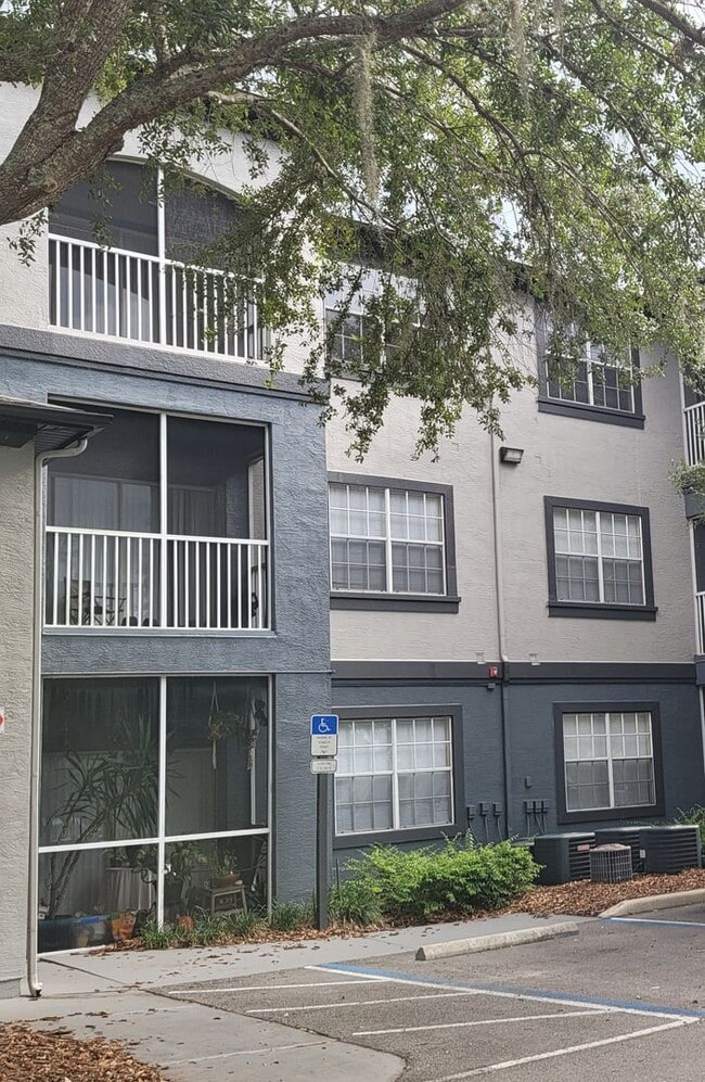 The Preserve at Temple Terrace - The Preserve at Temple Terrace Apartment