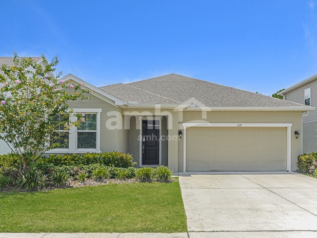Building Photo - 1159 Sky Lks Dr