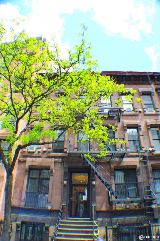 Primary Photo - 339 West 51st Street