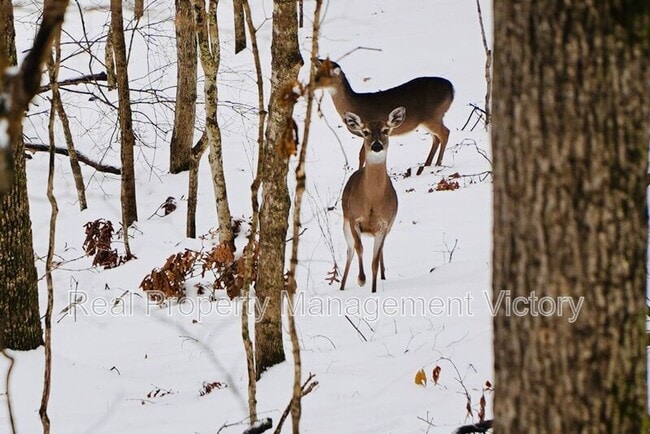 Foto del edificio - 1199 Berwick Rd