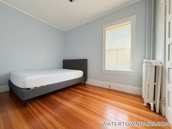 Building Photo - 65 Olcott St
