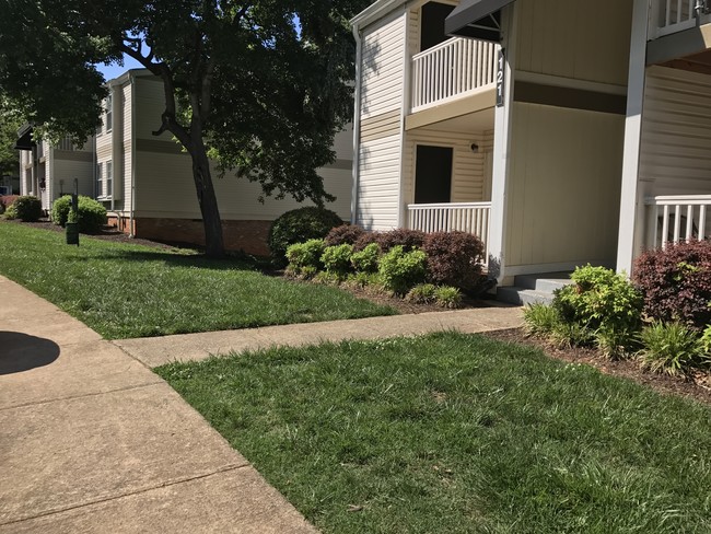 Building Photo - Morehead Apartments