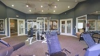 This fitness center offers a dedicated space for strength and conditioning, designed with both functionality and comfort in mind. The room is finished with deep blue-grey walls that lend a modern, focused atmosphere, complemented by speckled carpeted flooring that adds warmth underfoot. Overhead, multiple ceiling fans with integrated lighting ensure steady airflow throughout workouts, while recessed lighting provides consistent, well-distributed illumination across the space.

At the heart of the room sits a multi-station cable and strength training machine system, supported by additional equipment including an adjustable bench and a recumbent-style exercise chair. A stability ball and various supplementary workout accessories are also visible, catering to a range of fitness routines. Large windows and glass-paneled French doors line the walls, allowing ample natural light to filter in while offering views to an adjacent area, creating an open and connected feel. The doors provide convenient access, enhancing the overall flow of the space. Mirrored panels are incorporated into the design, visually expanding the room and allowing users to monitor their form during exercise. The layout is thoughtfully arranged to maximize usable floor space.