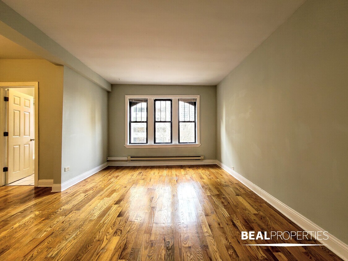 1347 N Dearborn St Unit Studio, Chicago, IL 60610 Condo for Rent in