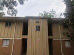 Primary Photo - Great location, 2/2 close to UF , Shopping...