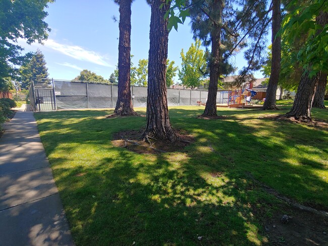Building Photo - 20216 Northbrook Sq