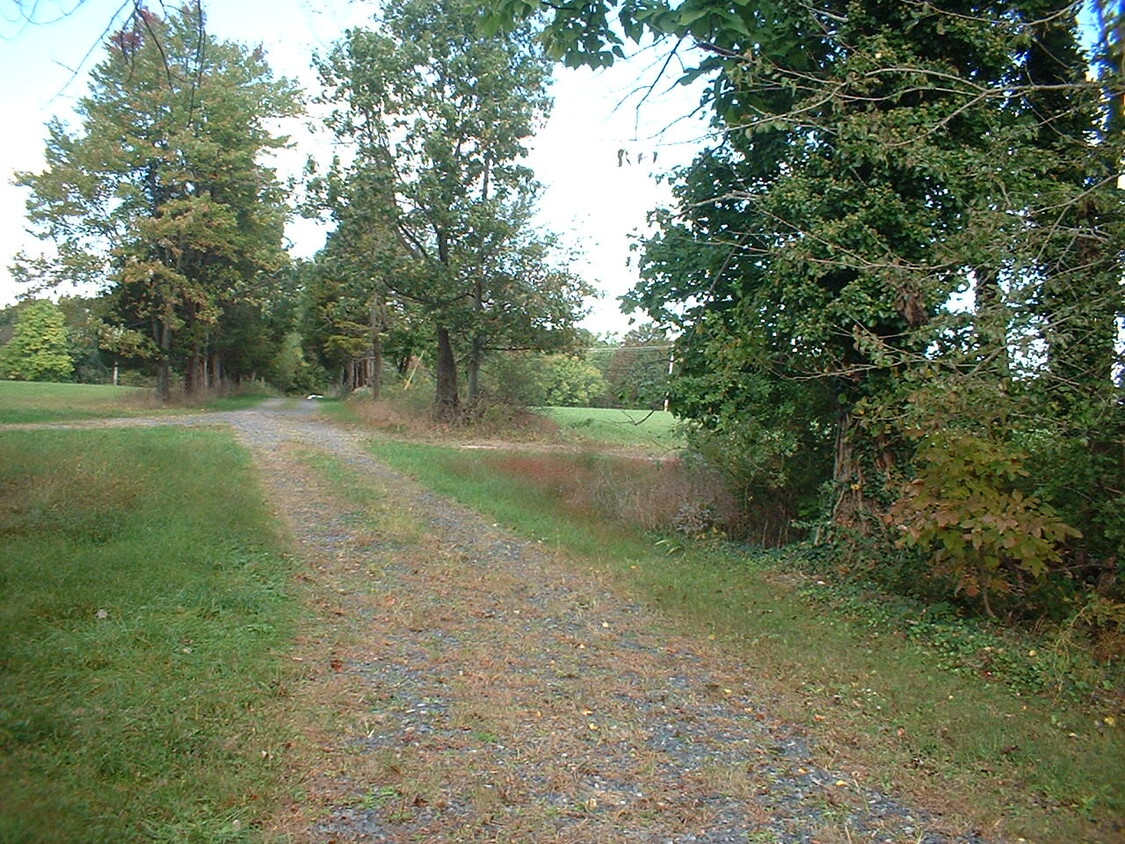 Driveway - 1153 Blue School Rd