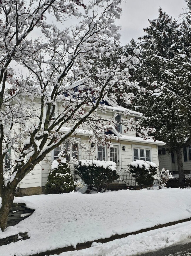 Front House - 113 Clark St