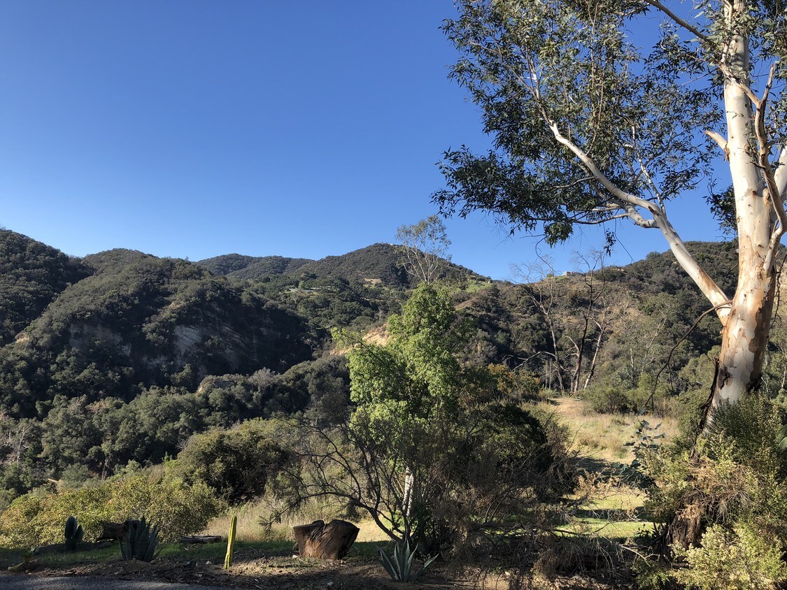 2150 N Topanga Canyon Blvd, Topanga, CA 90290 House Rental in Topanga