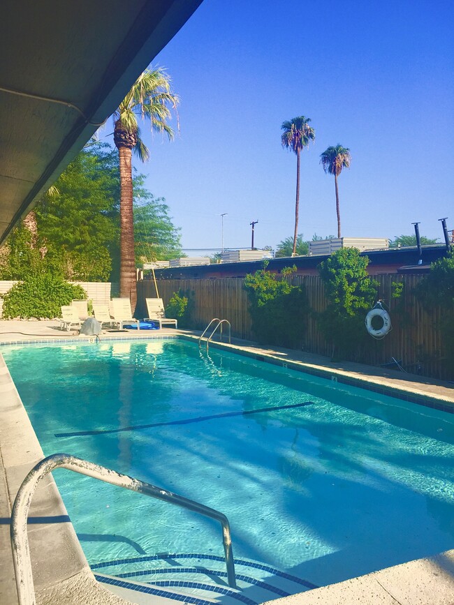 Large swimmers pool with mountain views - 3715 E Calle de Ricardo