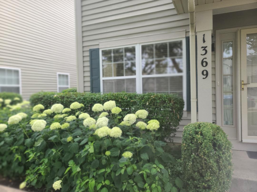 1369 Orleans Dr, Mundelein, IL 60060 Townhome Rentals in Mundelein IL