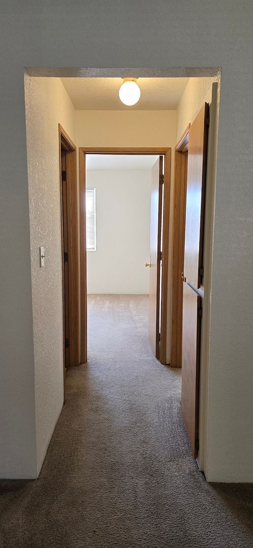 Foto del edificio - MACO402