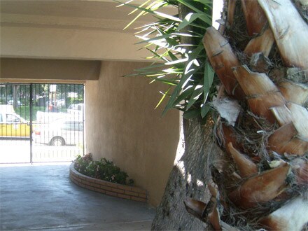 Foto del edificio - The South Bay