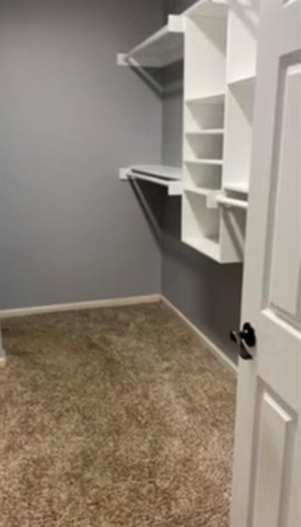 Foto del edificio - 11319 Patti Ln