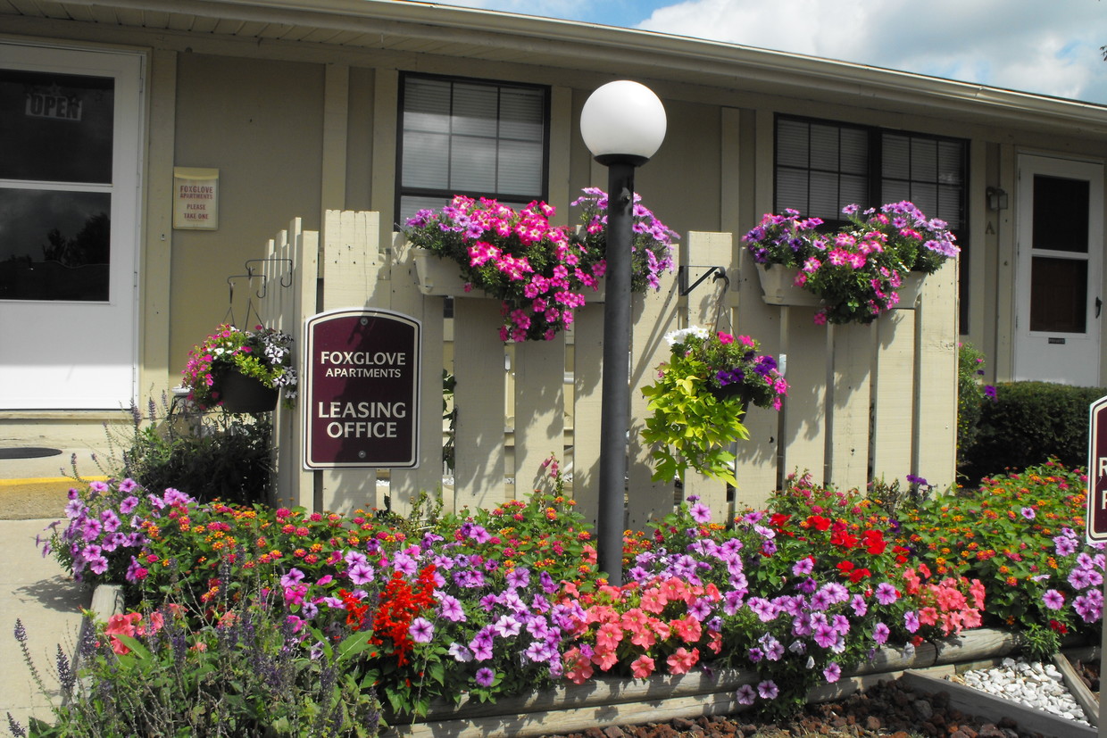 Building Photo - Foxglove Apartments